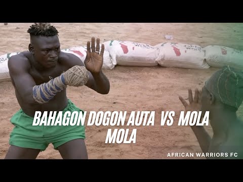 Three Punch Dambe KO | Bahagon Dogon Auta vs Mola Mola |  African Warriors FC Dambe Boxing |