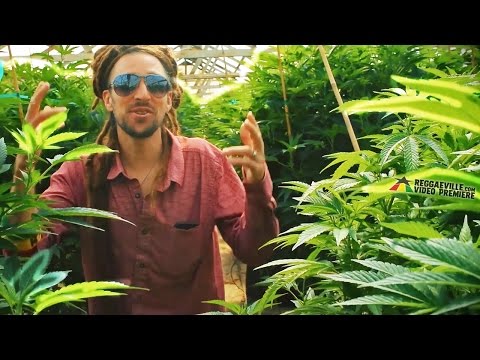 E.N Young - Cooyah Raggamuffin [Official Video 2017]