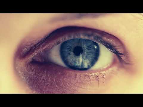 2HB - Vanessa Tagliabue Yorke - Pop Music for Chrysalis