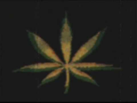 Tenement Yard lyrics