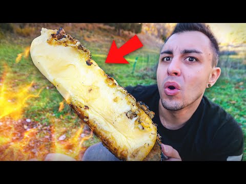 MEGA XXL RACLETTE OVER A WOOD FIRE!