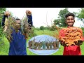 100 DOLLAR ROCK LOBSTER CURRY LOBSTERS COOKING SHOW