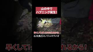 昆虫観察中にハプニングが発生したｗ #なあぼう
