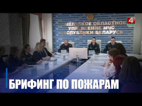 Более 150 пожаров в природных экосистемах зарегистрировано на Гомельщине с начала 2026 года