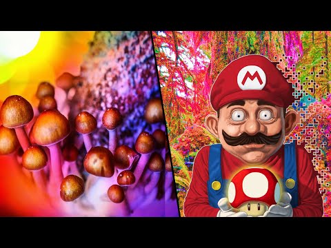 My Most INTENSE Shroom Trip Was an Accident