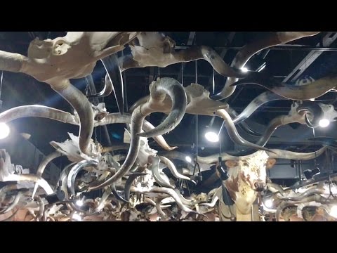 TDW 1658 - Unsettling Room Of Skulls !