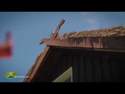 Ferienhaus im Spreewald — Bienenhaus (2020)