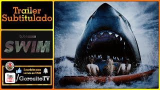 SWIM - Trailer Subtitulado al Español - Joey Lawrence / Jennifer Field / Andy Lauer
