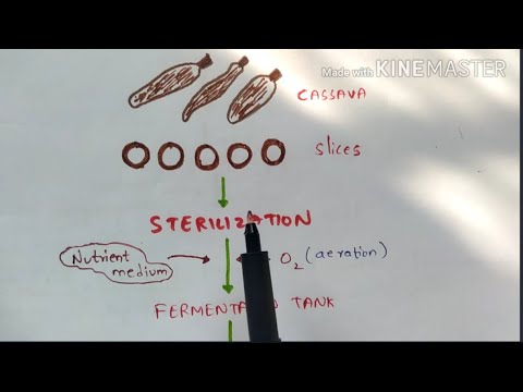 Fermentation process Working of Fermenter Nutrient medium for fermentation Bioreactor