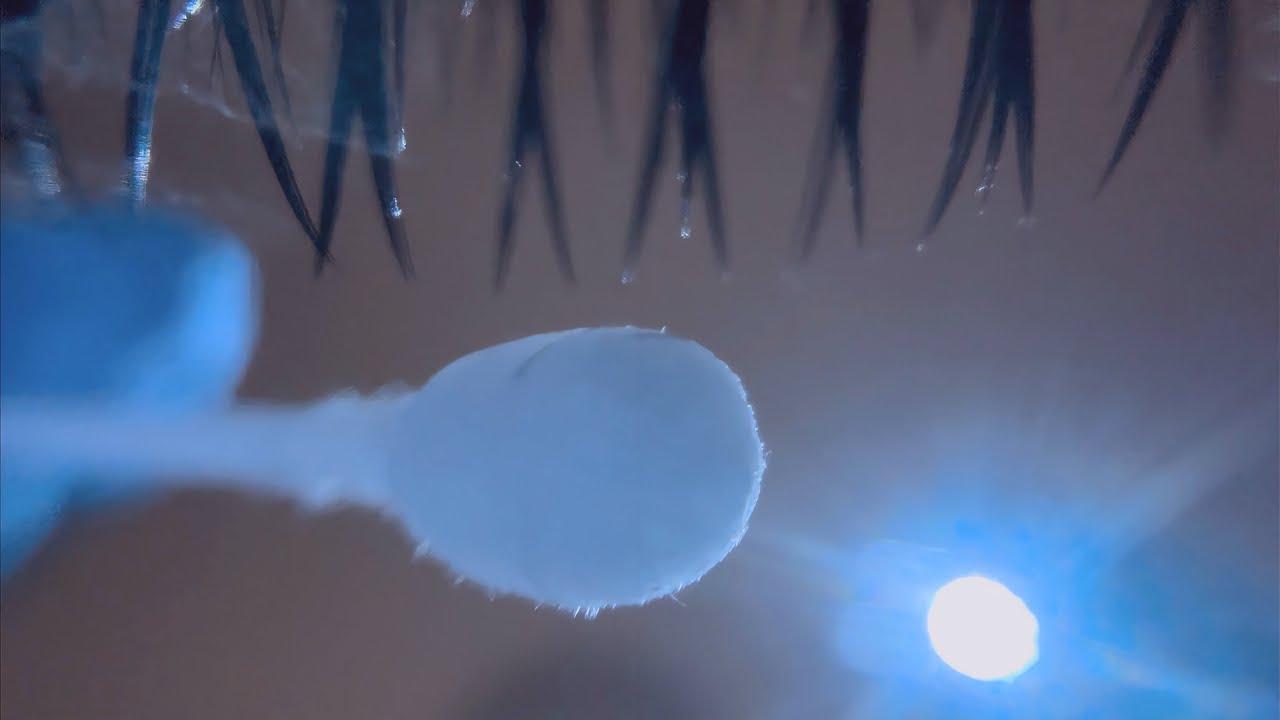 【ASMR】花粉を洗い流そう！🤧お水で洗う眼球掃除👁️Eye cleaning asmr(No talking)