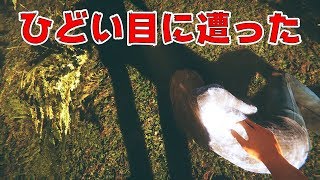 この森は一体？