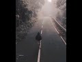 Katrukkulle Song Whatsapp Status