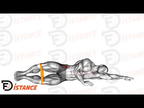 Clam avec élastique - Exercice Clam avec élastique en vidéo Clam avec élastique - Exercice Clam avec élastique en vidéo