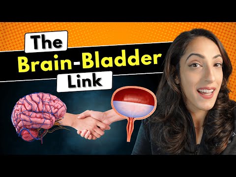 How a back or brain injury can permanently change your bladder?! | Types of neurogenic bladder