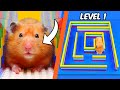 I built LEGO MAZES for a HAMSTER...