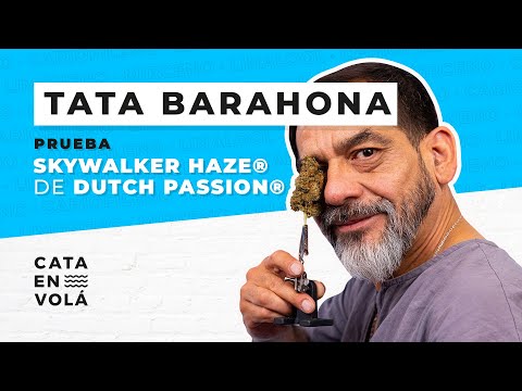 CATA EN VOLÁ: TATA BARAHONA | SKYWALKER HAZE