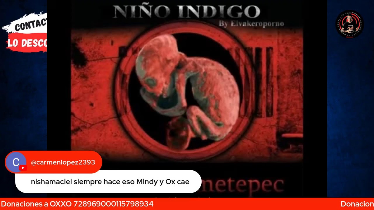 Entrevista a un Alien  La Verdad / Oxlack Investigador