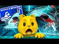 Sharks And Minnows But WITH REAL SHARKS