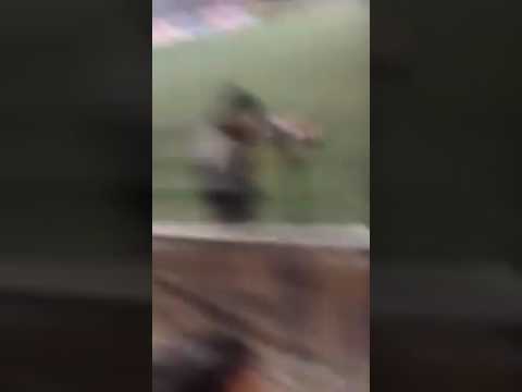 final copa interligas xelaju 4 suchitepequez 1 proftutbol xela