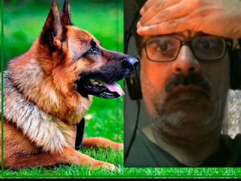 PROMO SET by DJ CHOLO !!!