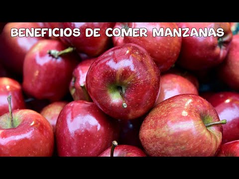 La manzana le ayuda a reducir el colesterol