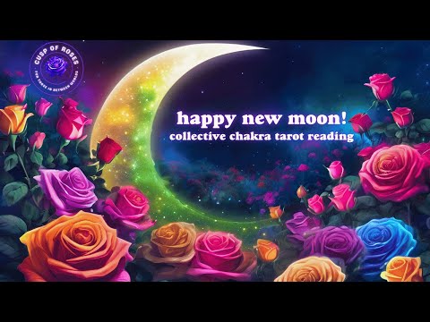 capricorn aquarius new moon ☽ birds of a feather 𑁍 tarot ep 57