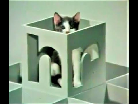 hr Katzen 1971