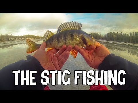 Ice Fishing for Perch | The Stig Fishing