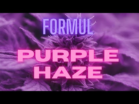 Formül - Purple Haze
