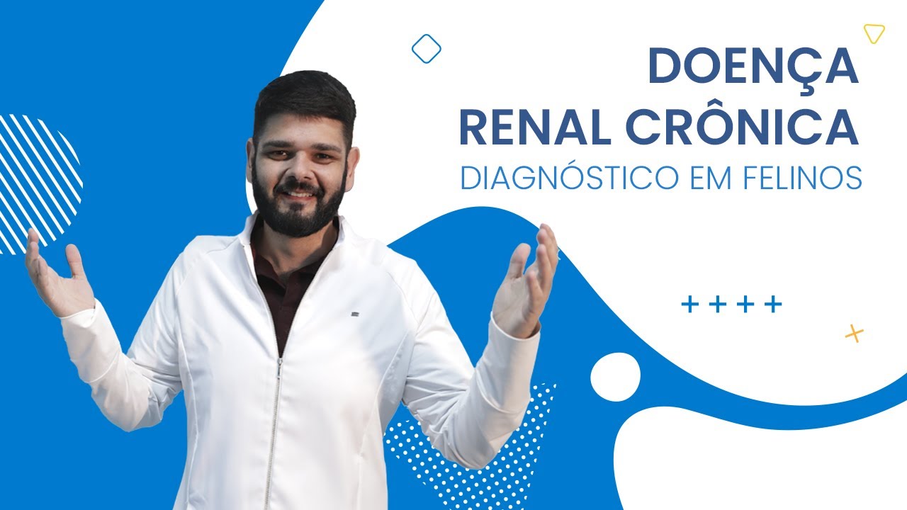 Diagnóstico em Felinos - Doença Renal Crônica