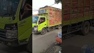 Download lagu Truk ayam mp3