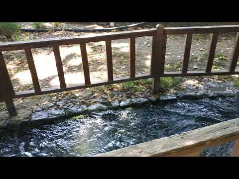 Greece / Chania Armenoi (at the bar "tzizikas"