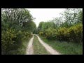 Country Roads (James Last).wmv 