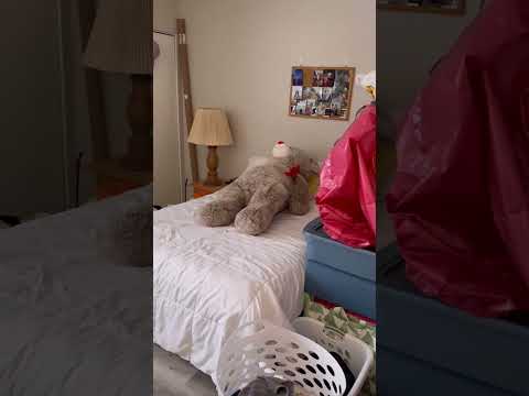 330-334 Tyrrell Ct - Video 2 of 2