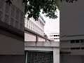 Aquinas College Shorts