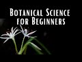 Botanical Science For Beginners