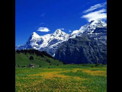 pullu tepe - Emre fel