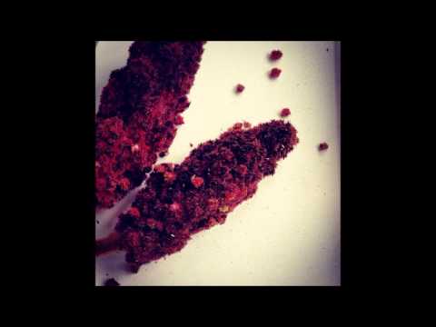 EpiCure Band - TehranKings (VENLOCO Version)