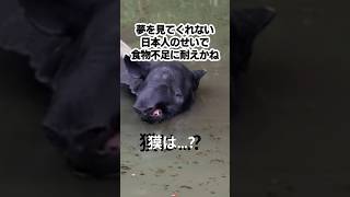 バクのウワサ