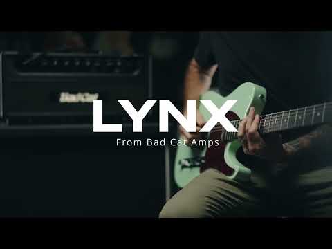 Bad Cat Lynx 2x12 Extension Speaker Cabinet image 2