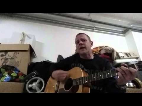 Riptide - vance joy - acoustic cover