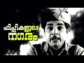 Hippikalude Nagaram Super Hit Malayalam Movie Song Postmane Lanmanilla Ft Prem Nazir