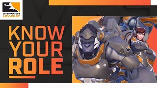 The Unsung Heroes of Overwatch | Know Your Role — Tank