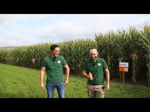 Jahresrückblick der anderen Art − Mais/Raps Outtakes 2021