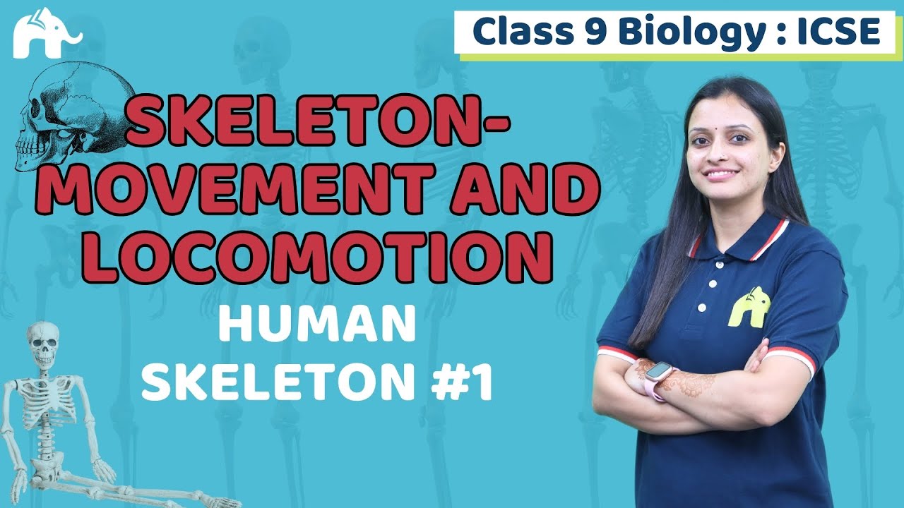 Skeleton-Movement and Locomotion  Class 9 ICSE Biology | Selina Chapter 12 | Human Skeleton #1