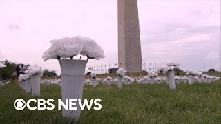 National Mall memorial honors gun violence victims