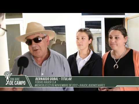 Resumen del remate de Ferias Rauch  - Miércoles 22 de noviembre de 2017 - Rauch