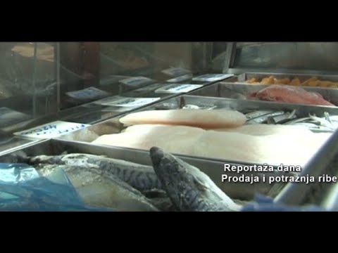 Reportaža dana "Pripreme" 16.04.2020