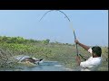 ||unbelievable Hook fishing| catching big rohu fishes|my best fishing videos