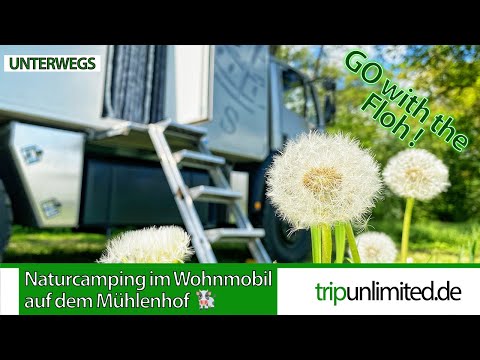 Naturcamping im Wohnmobil I Uelzen I Niedersachsen I AlpacaCamping I Mühlenhof an der Wipperau